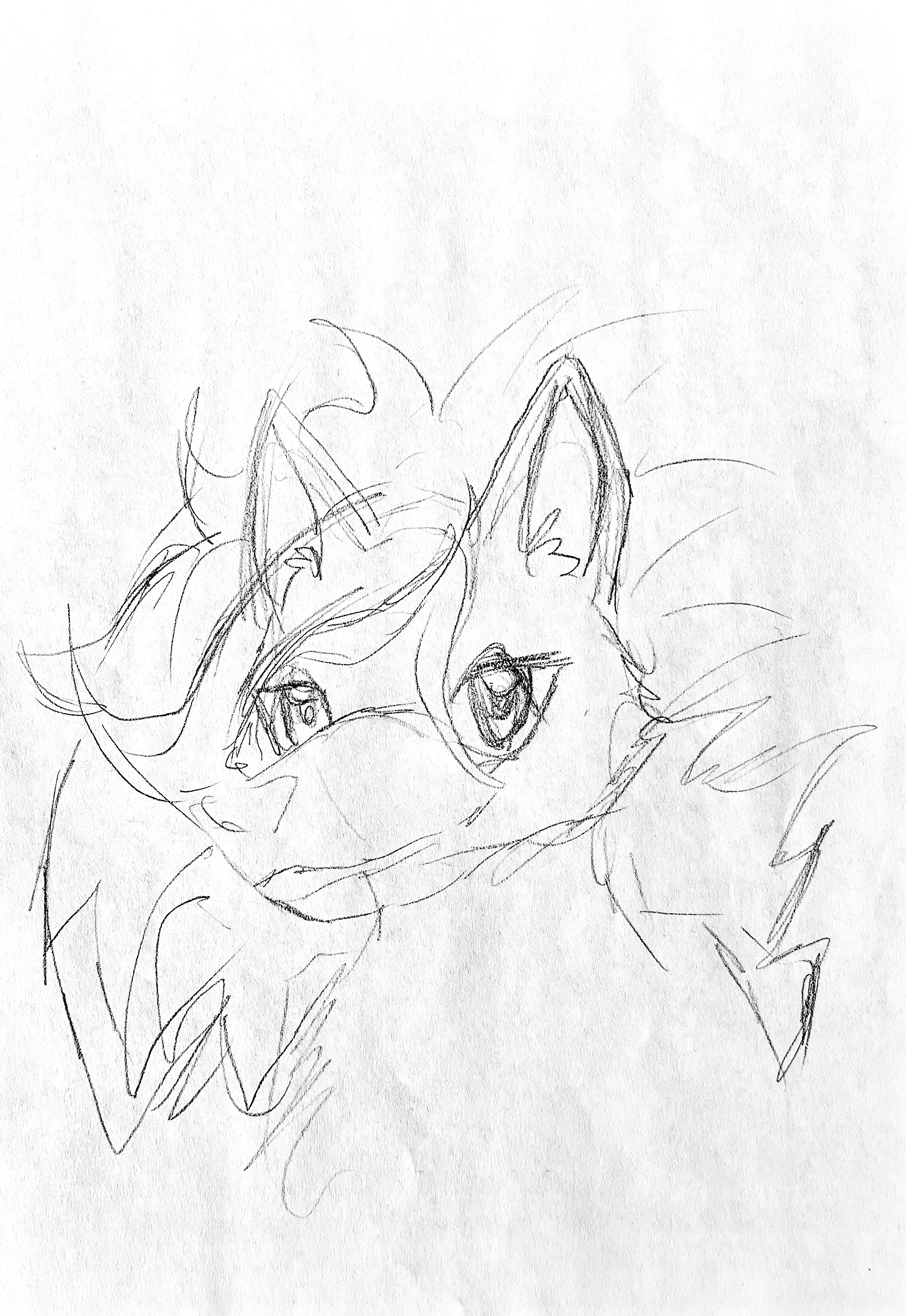 Hand-drawn greyscale sketch of the profile of a anthro coyote